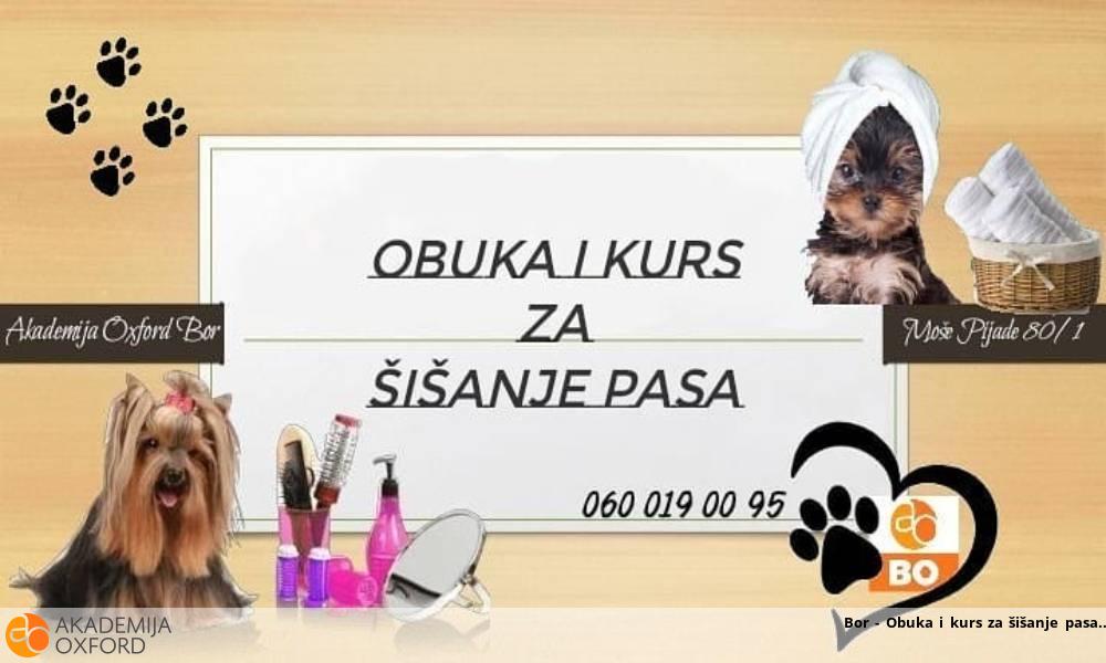 Bor - Obuka i kurs za šišanje pasa Bor - Obuka i kurs za šišanje pasa