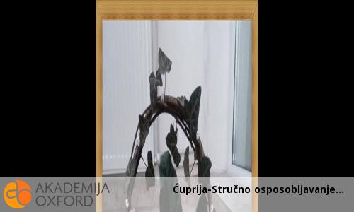 Ćuprija-Stručno osposobljavanje Ćuprija-Stručno osposobljavanje