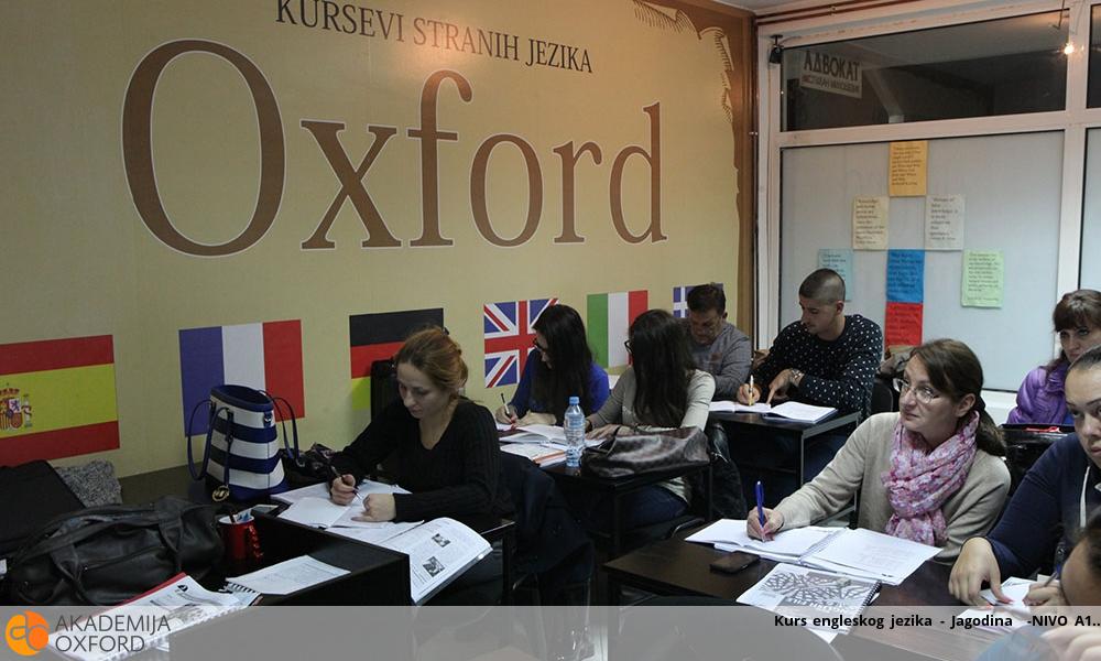 Kurs engleskog jezika - Jagodina  -NIVO A1