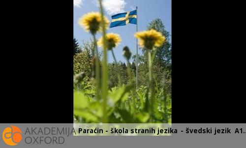 Paraćin - škola stranih jezika - švedski jezik A1 Paraćin - škola stranih jezika - švedski jezik A1