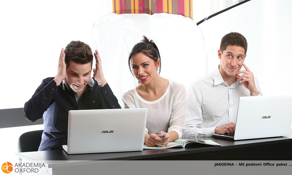 JAGODINA - MS poslovni Office paket JAGODINA - MS poslovni Office paket