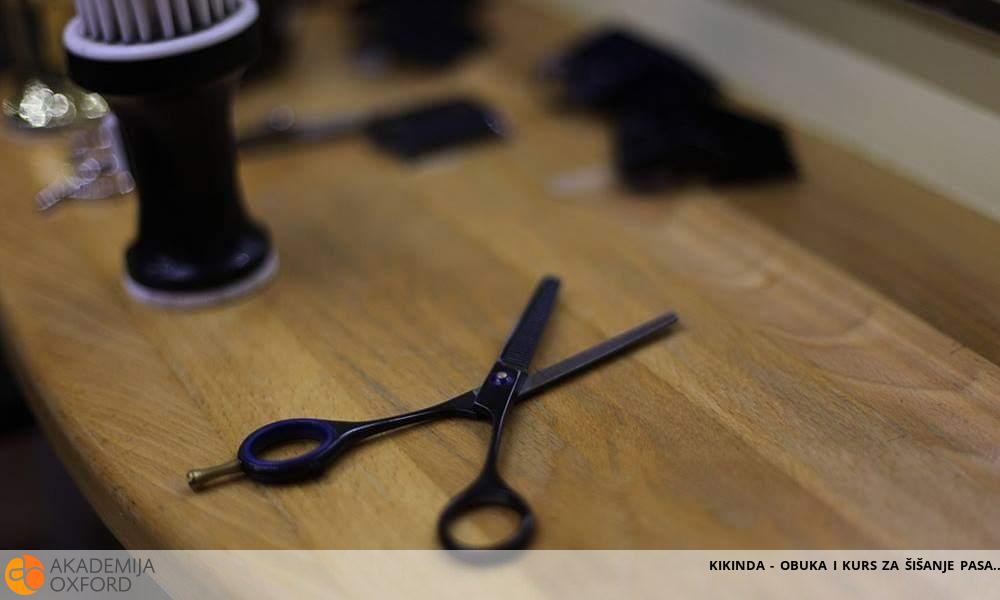 KIKINDA - OBUKA I KURS ZA ŠIŠANJE PASA KIKINDA - OBUKA I KURS ZA ŠIŠANJE PASA