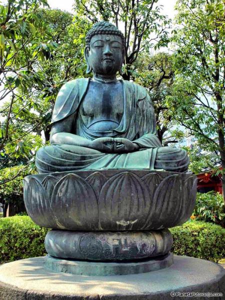 K Kurs Japanskog Jezika Subotica