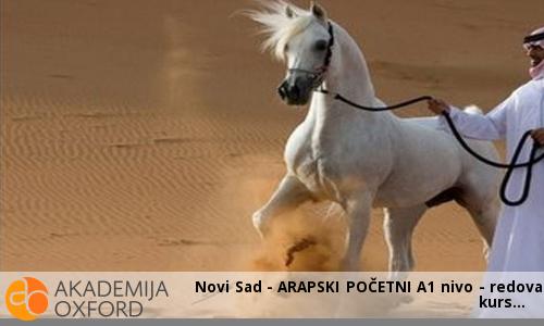 Novi Sad - ARAPSKI POČETNI A1 nivo - redovan kurs Novi Sad - ARAPSKI POČETNI A1 nivo - redovan kurs