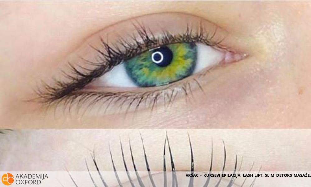 VRŠAC - KURSEVI EPILACIJA, LASH LIFT, SLIM DETOKS MASAŽE VRŠAC - KURSEVI EPILACIJA, LASH LIFT, SLIM DETOKS MASAŽE