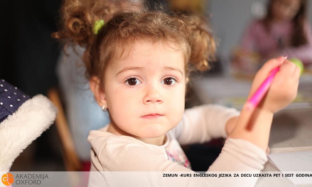 ZEMUN -KURS ENGLESKOG JEZIKA ZA DECU UZRASTA PET I SEST GODINA ZEMUN -KURS ENGLESKOG JEZIKA ZA DECU UZRASTA PET I SEST GODINA